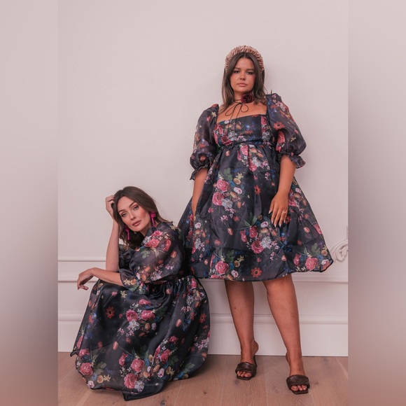 NWT JessaKae Polly Dress (2X) - Picture 7 of 12